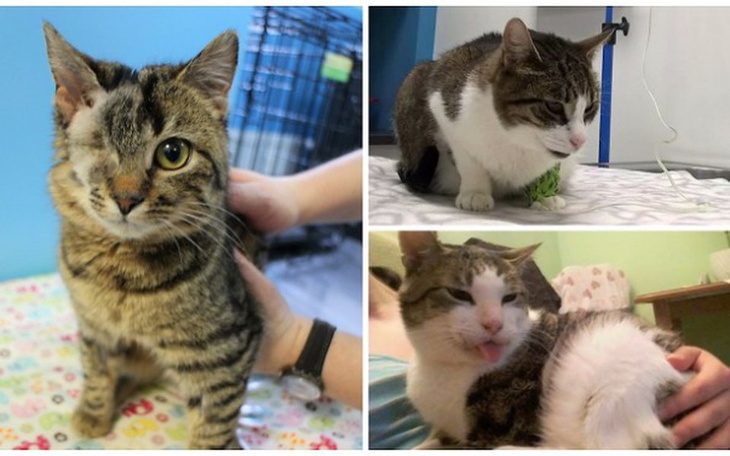 Zbiórka Kolejna ogromna faktura - pomocy - zdjęcie główne