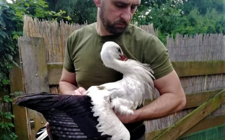 Zbiórka Mają tylko Was i nas - zdjęcie główne