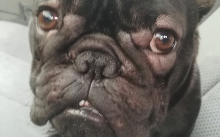 Zbiórka Karma buldozek - zdjęcie główne