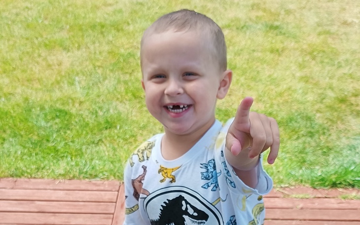 Zbiórka Marskość wątroby Jania - zdjęcie główne