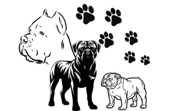 Trzy psy w różnych pozach z odciskami łap w tle.