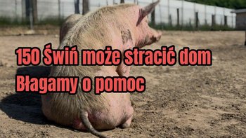 Zbiórka 7 dni żeby uratować Gieniutkowo - miniaturka zdjęcia
