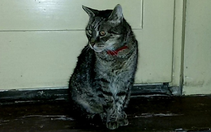 Zbiórka Z ciepłego mieszkania na bruk... - zdjęcie główne