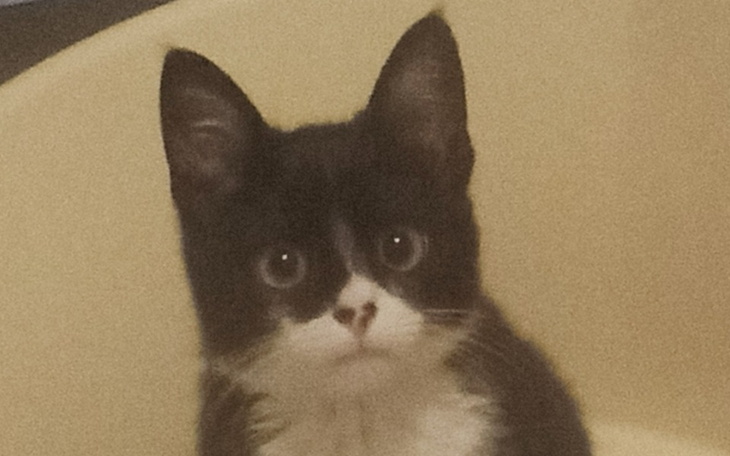 Zbiórka Na uniezależnienie i pomoc - zdjęcie główne