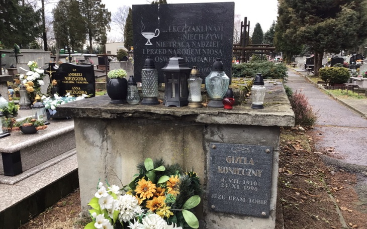 Zbiórka Renowacja grobowca - zdjęcie główne