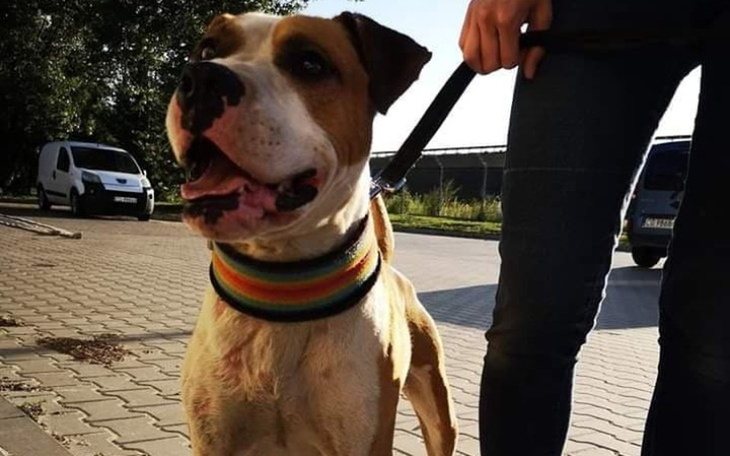 Zbiórka Szansa dla Roniego - zdjęcie główne