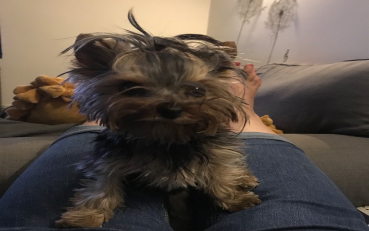 Zbiórka Maji operacja - zdjęcie główne