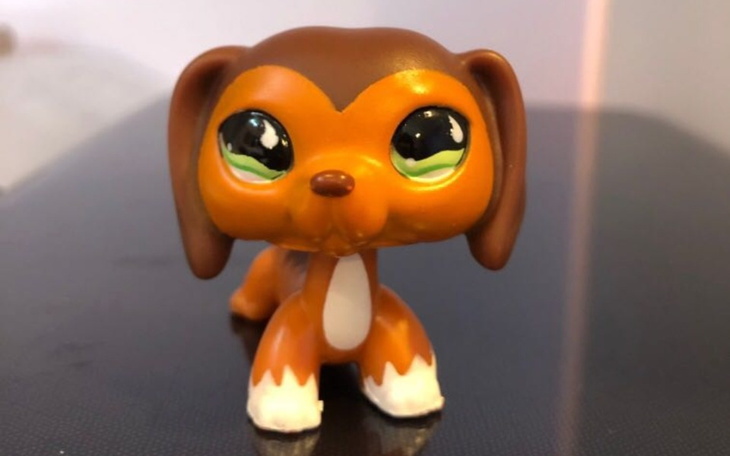 Zbiórka Zbieram na wymarzoną figurkę LPS - zdjęcie główne