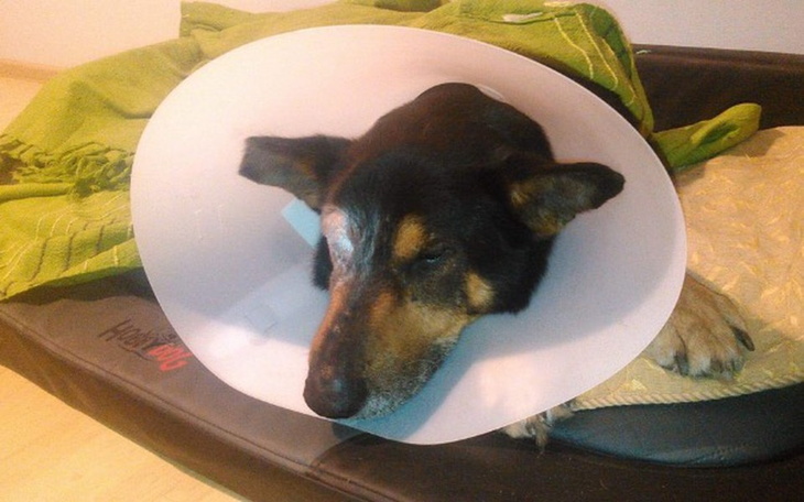 Zbiórka Niewidomy staruszek z nowotworem - zdjęcie główne