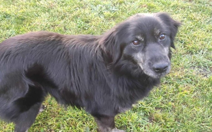 Zbiórka Mizio zbiera na Transport - zdjęcie główne