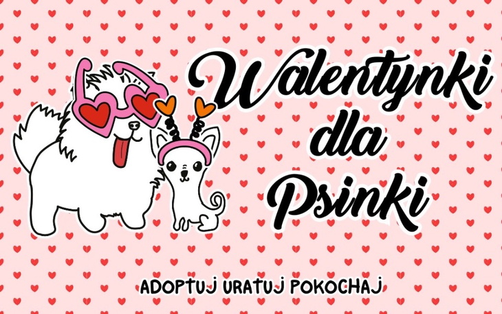 Zbiórka Walentynki dla psinki - zdjęcie główne