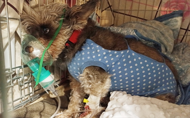 Zbiórka Bronią nie żyje. - zdjęcie główne