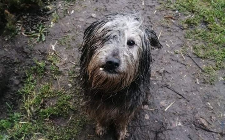 Zbiórka Nikt go nie znał - zdjęcie główne