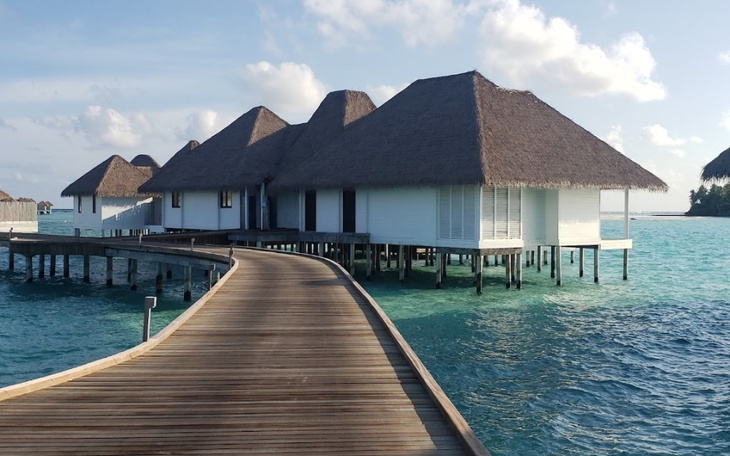 Zbiórka Podziękowanie dla żony - zdjęcie główne