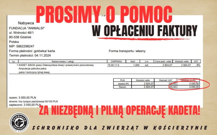 Zbiórka Pomoc w uregulowaniu faktury - zdjęcie główne