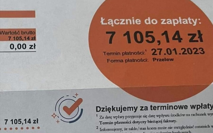 Zbiórka Ciepło dla kotków - zdjęcie główne