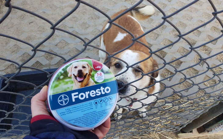 Zbiórka Stop kleszcze - zdjęcie główne