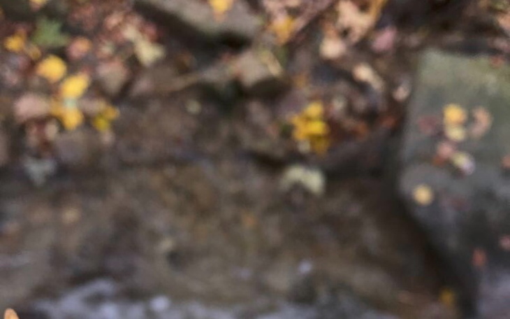 Zbiórka Na rachunki za prąd i wodę - zdjęcie główne