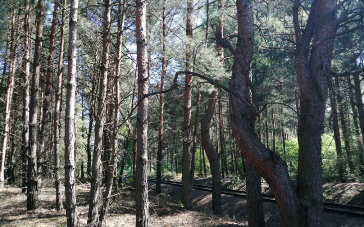 Zbiórka Na jakiś cel - zdjęcie główne