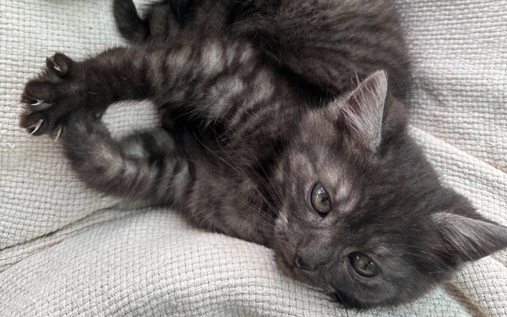 Zbiórka FPV zabiera nam Miałcina - zdjęcie główne