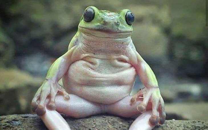 Zbiórka Sto melonów - zdjęcie główne