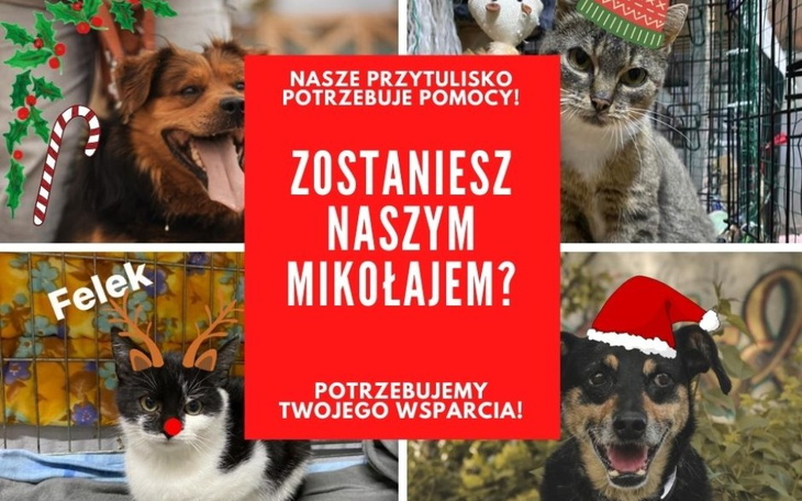 Zbiórka Przetrwać zimę- zostań Mikołajem - zdjęcie główne