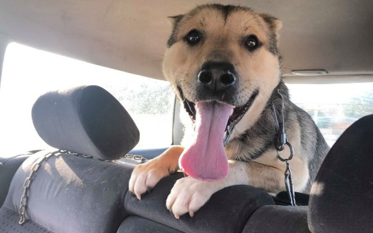 Zbiórka KASTRACJA BOLKA, LOLKA i KRAWATA - zdjęcie główne