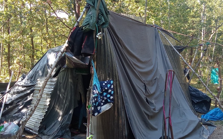 Schronisko zrobione z materiałów w lesie.