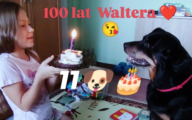 Dziewczynka z tortem urodzinowym, świętująca z psem.