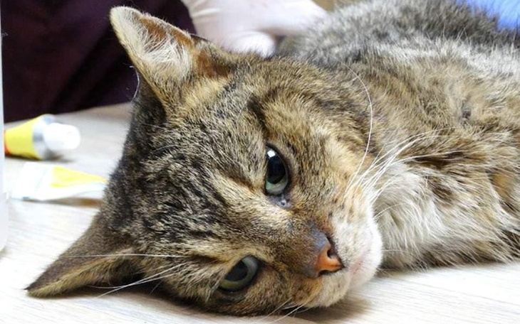 Zbiórka zbiórka zamknięta - zdjęcie główne