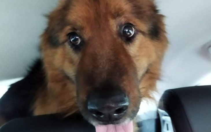 Zbiórka Na transport po LePsie Jutro - zdjęcie główne