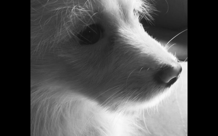 Zbiórka for help iranian people - zdjęcie główne