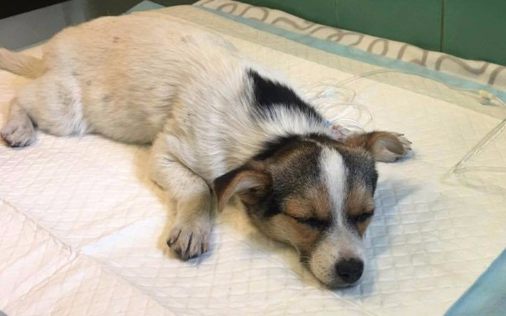 Zbiórka Błagam pomocy w spłacie faktury - zdjęcie główne