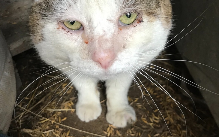 Zbiórka Na ogarnięcie biedaka - zdjęcie główne