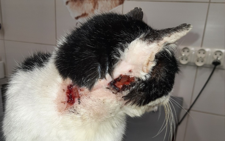 Zbiórka Białaczka to nie wyrok - zdjęcie główne