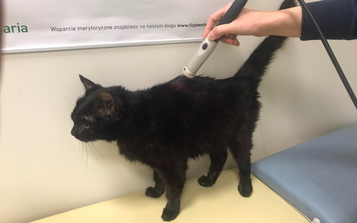 Zbiórka Na życie bez bólu - dla Gratki - zdjęcie główne