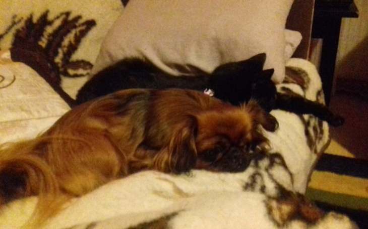 Zbiórka pomoc dla frankowiczów - zdjęcie główne