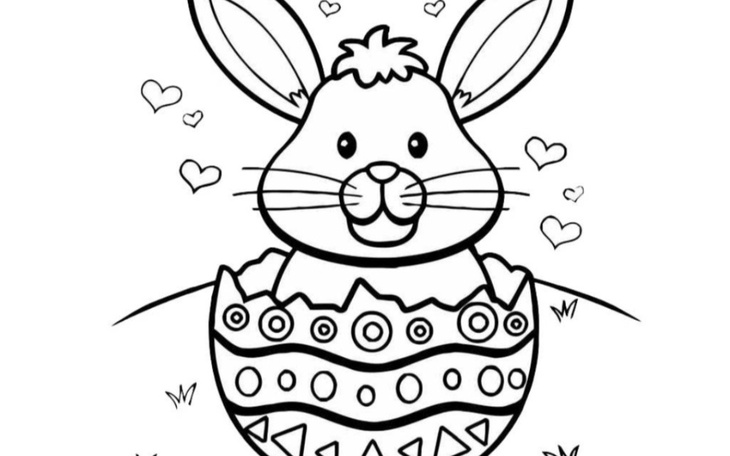 Zbiórka Na pomoc dla zwierząt. - zdjęcie główne