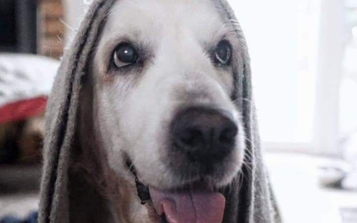 Zbiórka Dla Duffy - zdjęcie główne