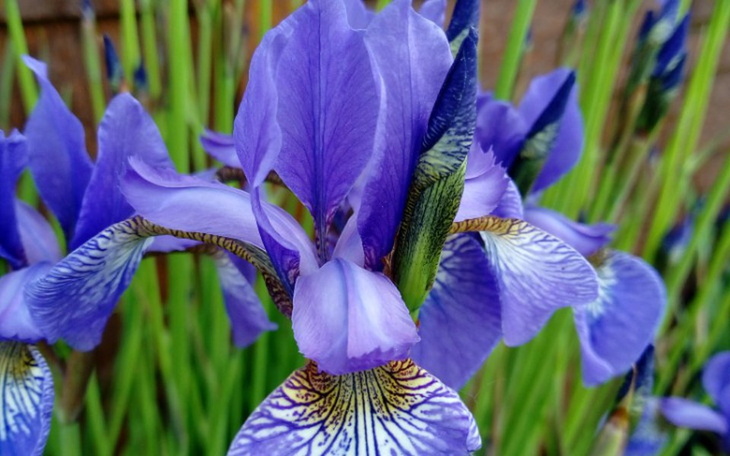 Zbiórka Spłata długów - nowy start. - zdjęcie główne