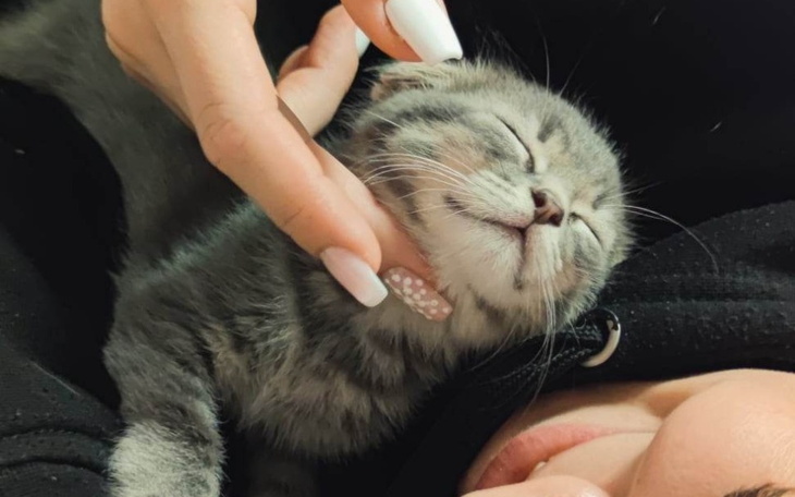 Zbiórka Pomóż uratować naszego Ziomka - zdjęcie główne