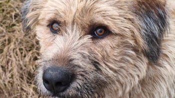 Zbiórka Wsparcie dla młodziutkiego Teo - miniaturka zdjęcia