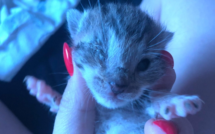 Zbiórka Zdążyć przed śmiercią... - zdjęcie główne