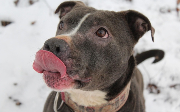 Zbiórka Pomagamy Fundacjom - zdjęcie główne