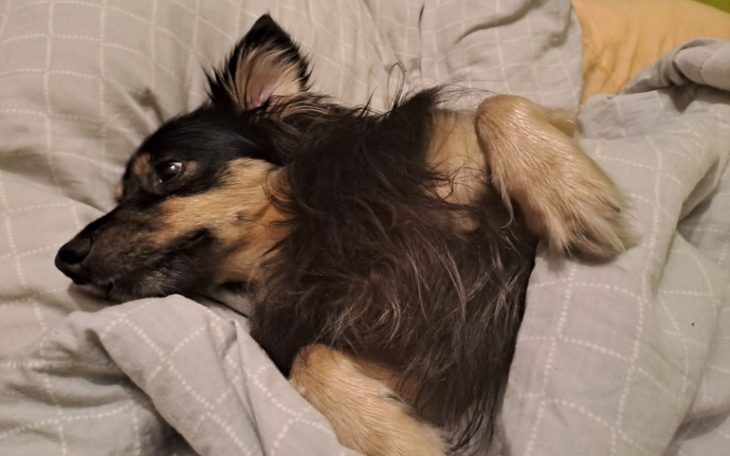 Zdjęcie przedstawiające różne przedmioty w zasięgu ręki.