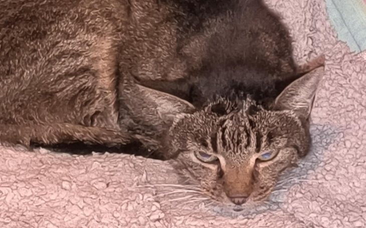 Zbiórka Wyrok śmierci. - zdjęcie główne