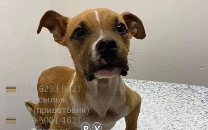 Zbiórka Na nowy start, ratujmy razem - zdjęcie główne