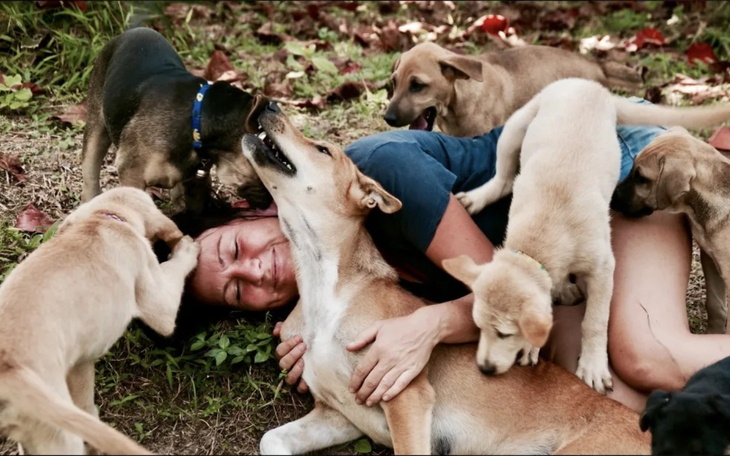 Radosne chwile z psami, które bawią się z opiekunem na trawie.
