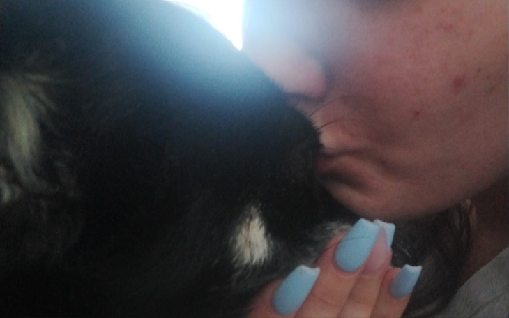 Zbiórka Na sterylizację psa - zdjęcie główne