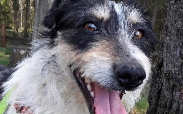 Zbiórka NOWE   życie   PAPROTA - zdjęcie główne